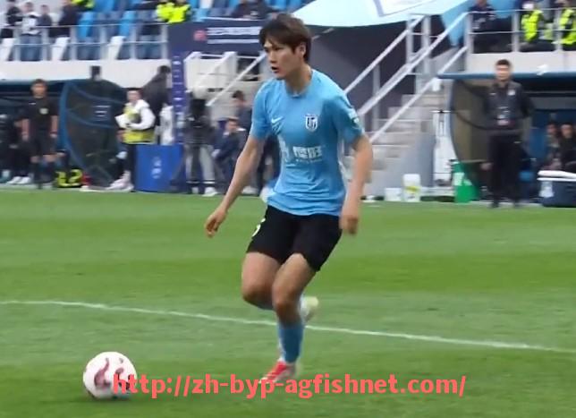 AG捕鱼王官网-法甲球员竞争力分析及未来潜力预测报告