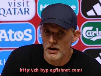 AG捕鱼王官网-世俱杯比赛结果权威分析：比分走势与战术执行效果评估